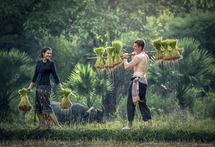 45 giây may mắn: Bí quyết chinh phục xổ số Việt Nam